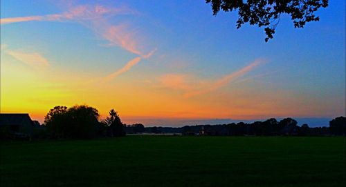 Scenic view of grassy field against sky