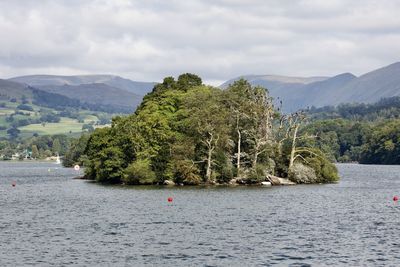 Scenic view of river amidst trees against sky