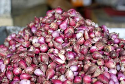 Close-up of vegetables for sale in market