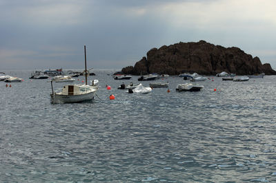 Boats sailing in sea
