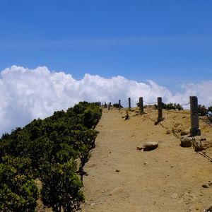 Panoramic shot of trees on landscape against sky