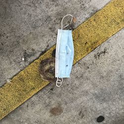 High angle view of yellow umbrella on street