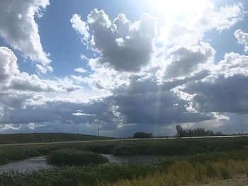 Scenic view of field against sky