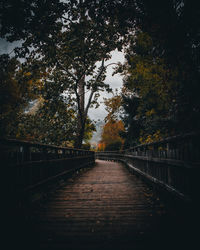 Footpath amidst trees in park during autumn