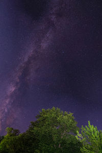 Milky way galaxy and many different stars and constellations in the night sky above green trees