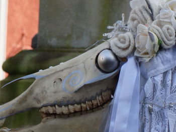 Close-up of white roses on plant