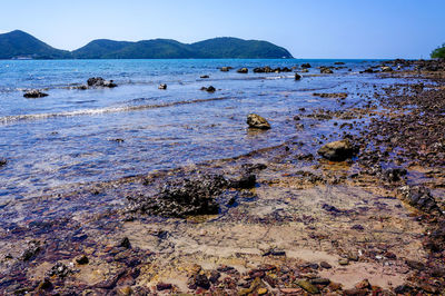 Scenic view of sea against clear sky