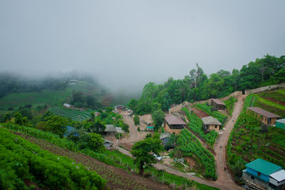 High angle view of trees and buildings against sky