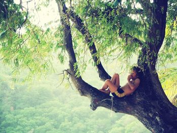 Woman standing on tree trunk