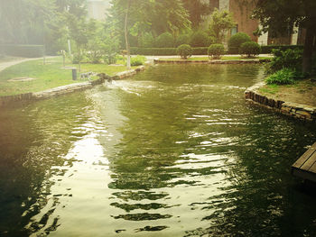 Scenic view of river amidst trees