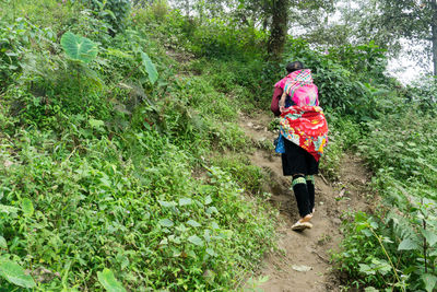 Rear view of woman walking on street amidst plants