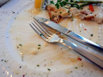 Close-up of food in plate