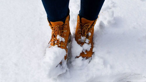 Low section of person standing on snow