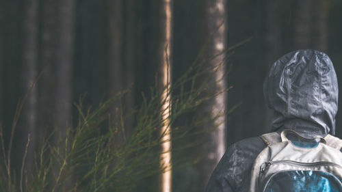 Rear view of person with backpack standing in forest