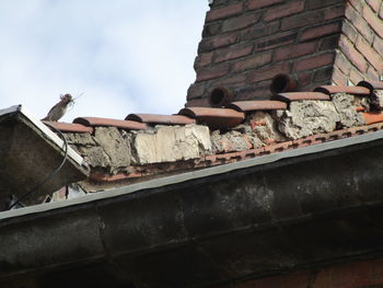 Low angle view of a building
