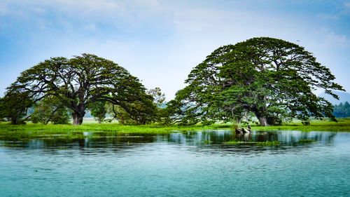 Scenic view of lake against sky