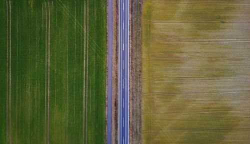 Aerial view of agricultural field