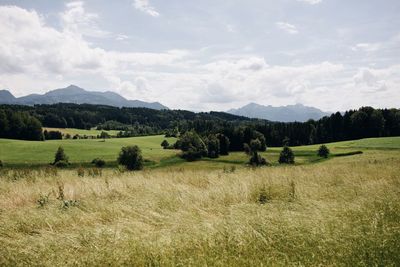 Scenic view of landscape against sky