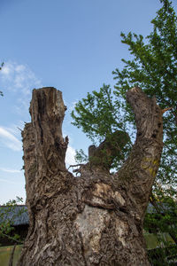 Low angle view of tree against clear blue sky