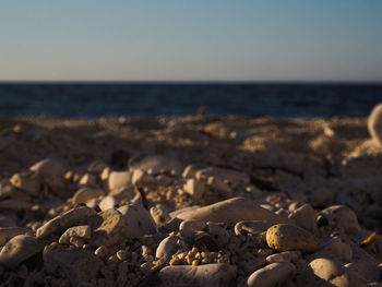 Surface level of pebble beach against clear sky