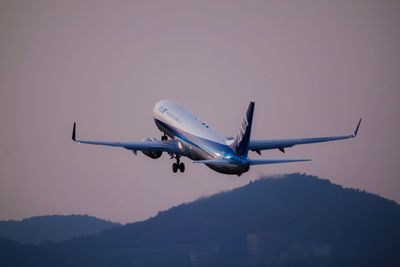 Airplane flying in sky