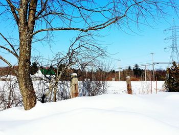 Bare trees on snow covered landscape