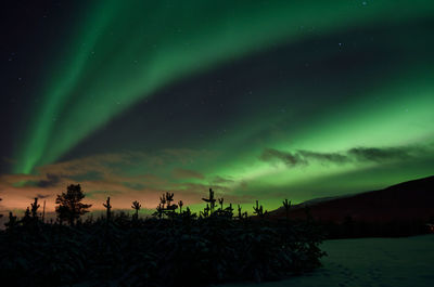 Scenic view of dramatic sky at night