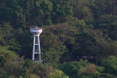 View of tower amidst trees in forest
