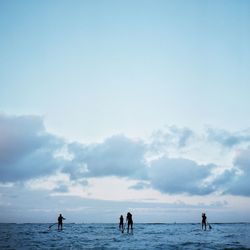 Surfers paddleboarding in sea