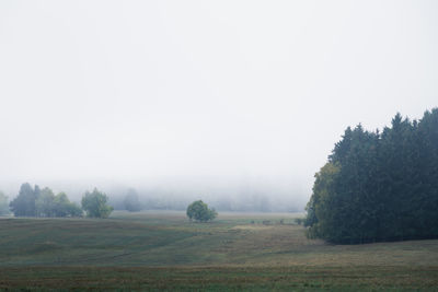 Trees on field against sky