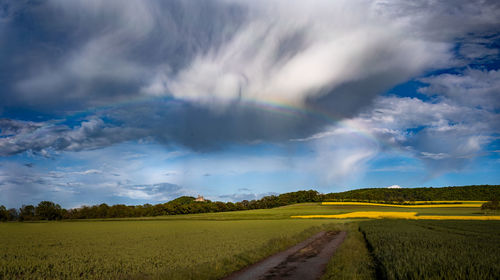 Scenic view of agricultural field against sky