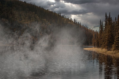 Panoramic shot of lake in forest against sky