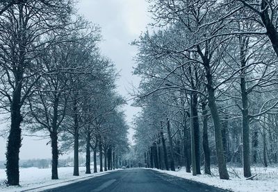 Road amidst bare trees against sky during winter