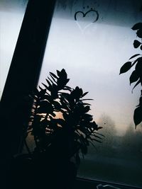 Close-up of tree by window against sky