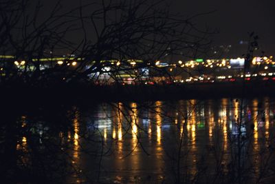 Reflection of bare trees in water at night