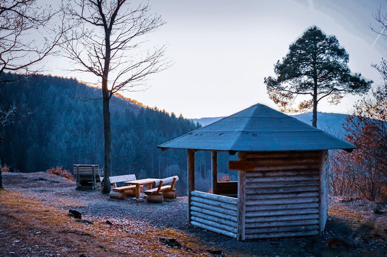 tree, plant, nature, sky, no people, beauty in nature, architecture, tranquil scene, land, tranquility, day, built structure, wood - material, mountain, field, outdoors, clear sky, seat, scenics - nature, idyllic, cabin