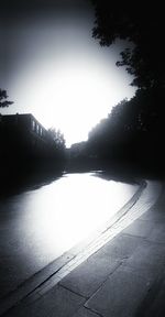 Silhouette trees against clear sky