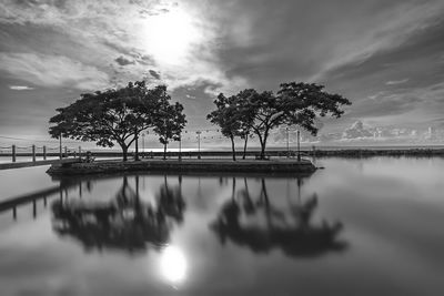 Reflection of palm trees in lake against sky