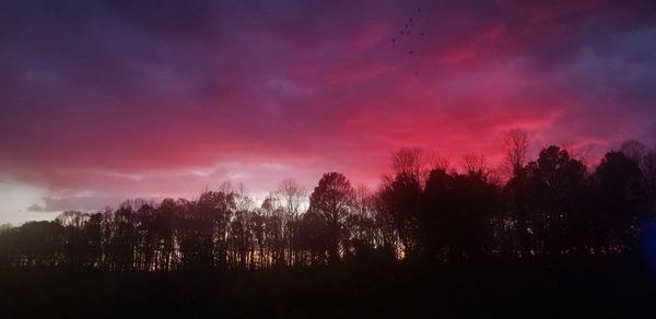 Silhouette trees against dramatic sky during sunset