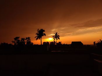 Silhouette palm trees on field against sky at sunset