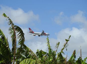 Low angle view of airplane flying against sky