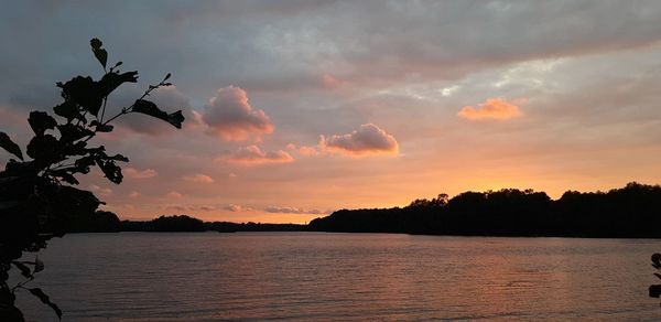 Scenic view of silhouette trees against sky during sunset