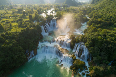 Scenic view of waterfall in forest