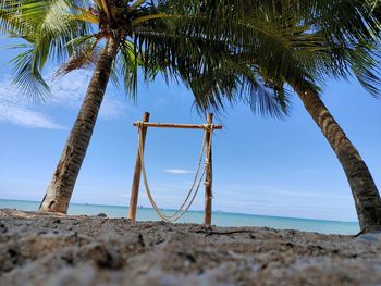 Palm trees on beach against sky