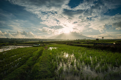 Countryside landscape against clouds