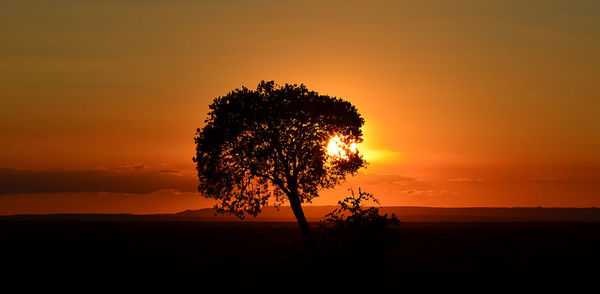 Silhouette tree on field against romantic sky at sunset