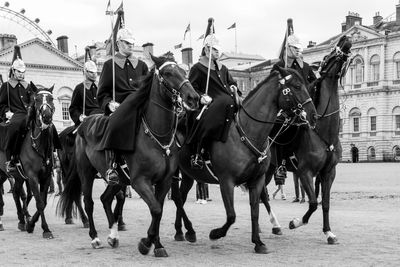 Horses in a row