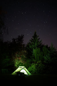 Scenic view of trees against sky at night