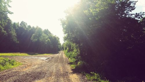Scenic view of landscape