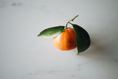 Close-up of orange fruit against white background